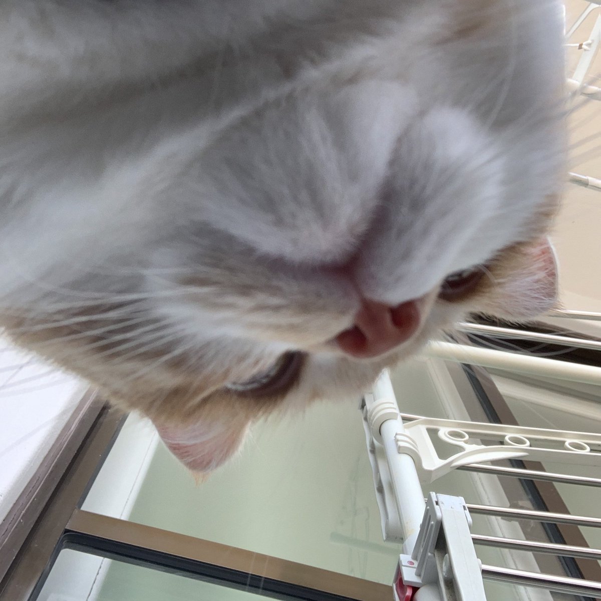 자네 일어났는가