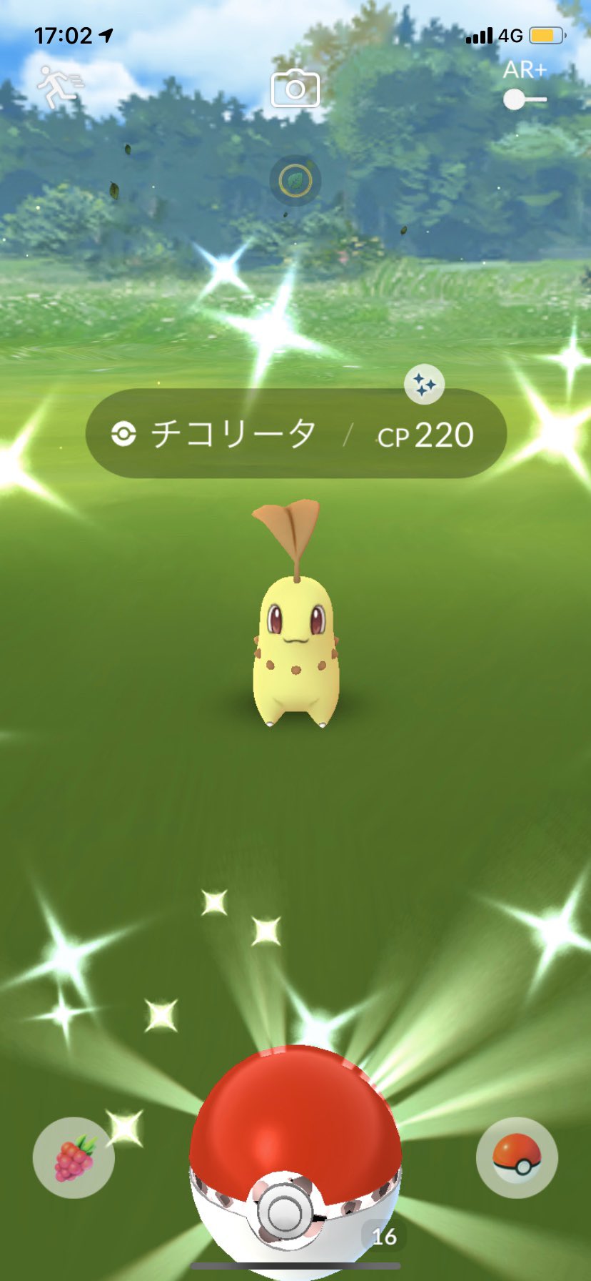 昨日まさかの2匹目枯れ葉チコリータをgetできたからメガニウムまで進化させた𓂃 ポケモンgo チコリータ ベイリーフ メガニウム 色違いポケモン 色違い T Co Dwuizvq5o4 Twitter 昨日まさかの2匹目枯れ葉チコリータをgetできたからメガニウムまで進化させた𓂃 ポケモンgo チコリータ ベイリーフ メガニウム 色違いポケモン 色違い T Co Dwuizvq5o4 Twitter