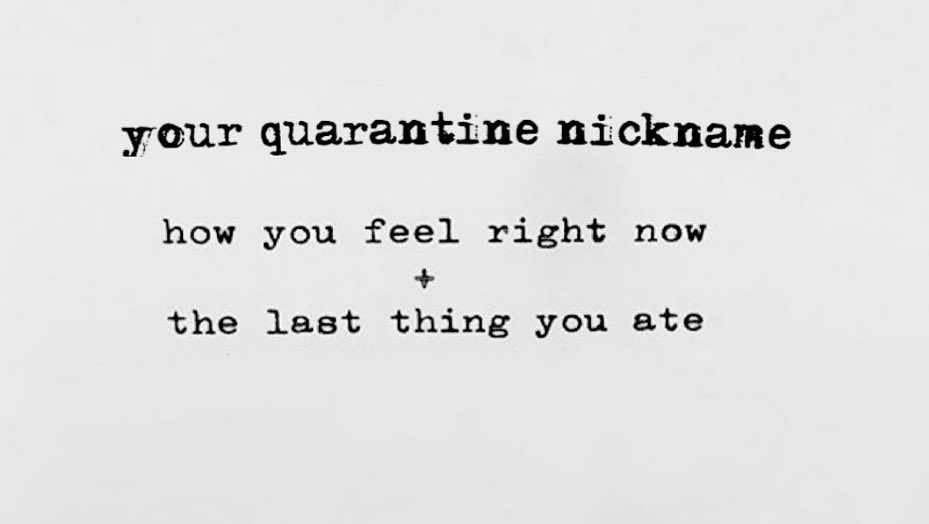 Kat_McNamara's tweet photo. Hi, I’m Confused Muffin. Nice to meet you! What’s your name? #SocialDistancing https://t.co/JSpEDx8H56