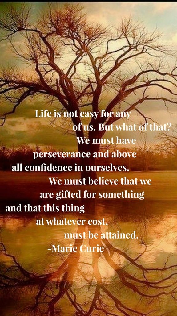 gracefulwings78's tweet photo. https://t.co/3MtLCKRv24