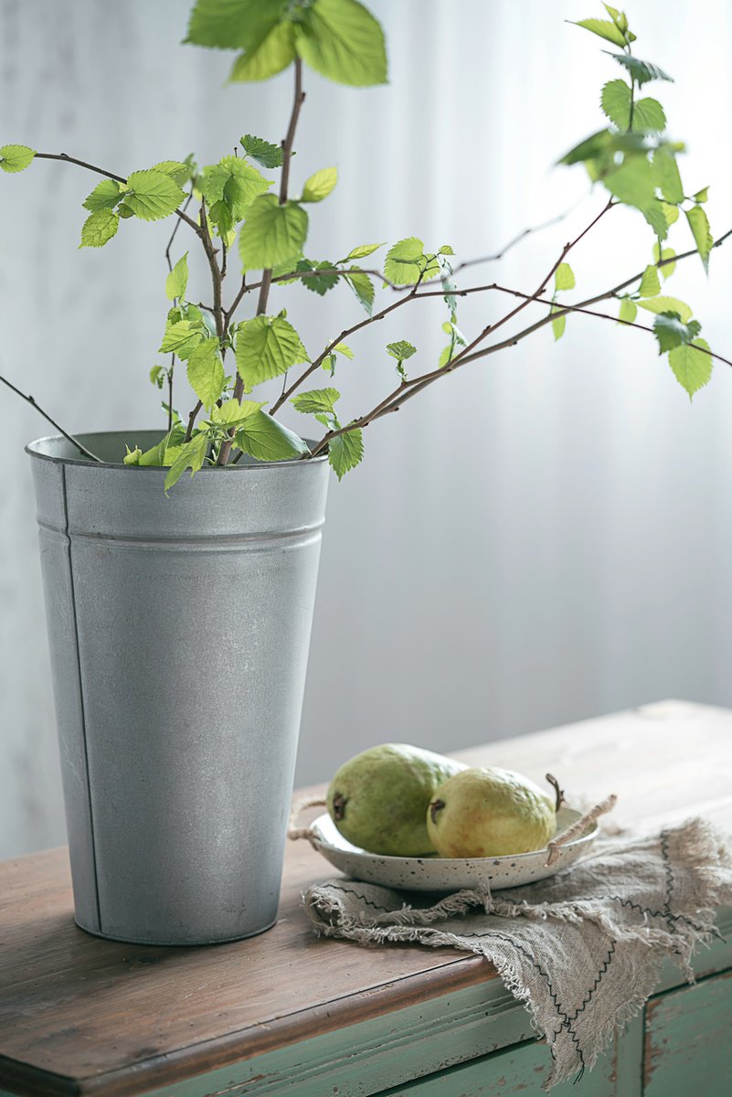 FZHomechoice's tweet photo. 😀Found this bucket suitable for raising plants.
#metalbucket #antiquescale #bigdecorsmallaccount #thedesigntwinslovefall #whitekitchen #showusyourdetails #myhomedecorfinds #simplecozynest #freshdecorfeels #historymeetsdecor #showmethedecor #passionforprettydecor https://t.co/ldSAW9cGZD