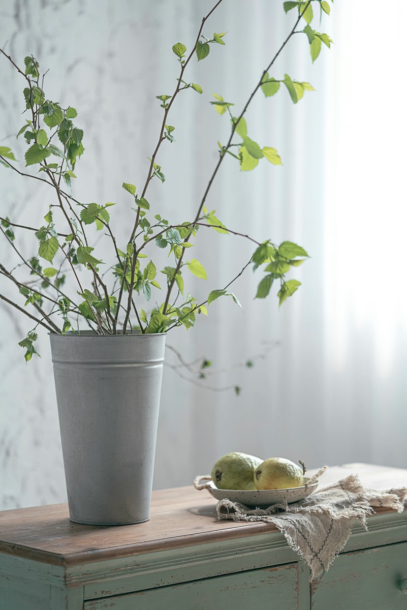 FZHomechoice's tweet photo. 😀Found this bucket suitable for raising plants.
#metalbucket #antiquescale #bigdecorsmallaccount #thedesigntwinslovefall #whitekitchen #showusyourdetails #myhomedecorfinds #simplecozynest #freshdecorfeels #historymeetsdecor #showmethedecor #passionforprettydecor https://t.co/ldSAW9cGZD