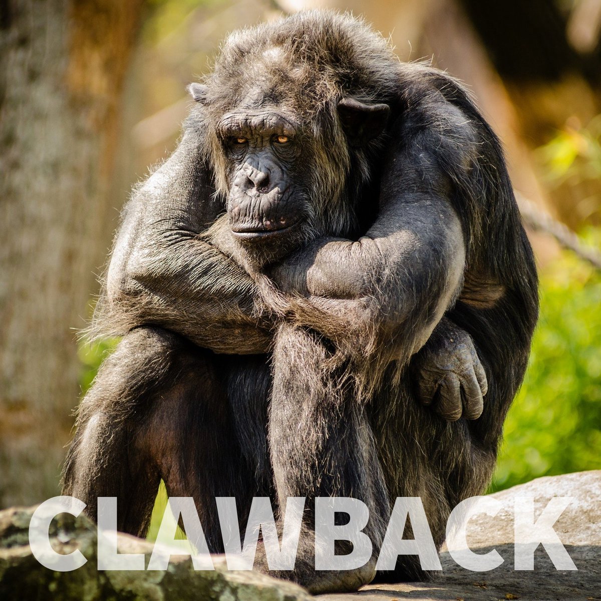 The clawback face... 

#merchantcashadvance #smallbusinessfunding #businessfunding #smallbusinessloans #mca #helpbusiness #loans #businessbroker #mortgage #businessloans