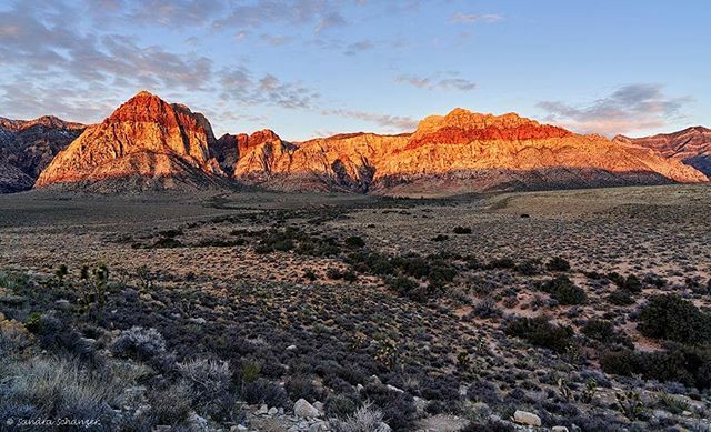 saga_photo's tweet photo. ~ RED ROCK CANYON | NEVADA | USA ~
Red rock canyon near Las Vegas at sunrise
Reisebericht / trip report: https://t.co/TFjML9oYuo
-----
#redrockcanyonlasvegas #nevada #redrocks #elephantrock #lasvegas #travelnevada #explorenevada #visitnevada #visitth… https://t.co/sYw936ziYS https://t.co/jP5Kg2xLlB