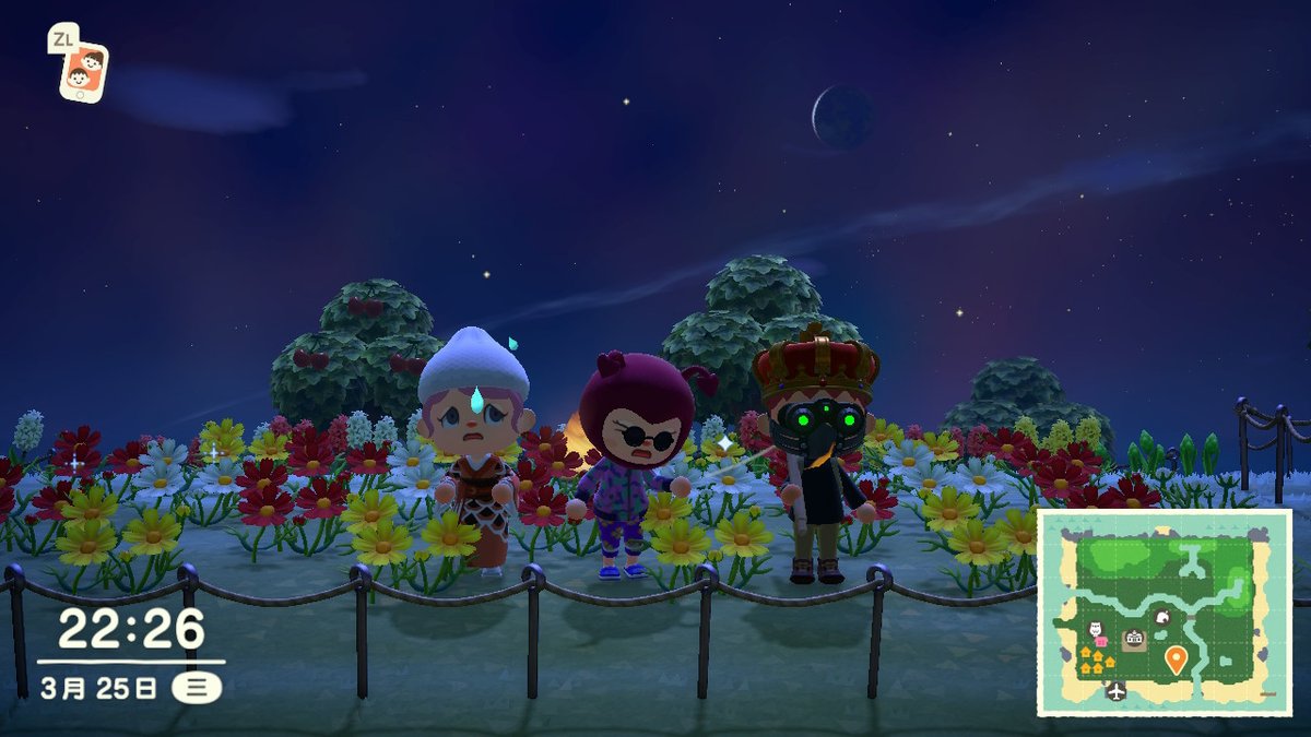 CL___2's tweet image. #动物森友会 #AnimalCrossing #ACNH #NintendoSwitch