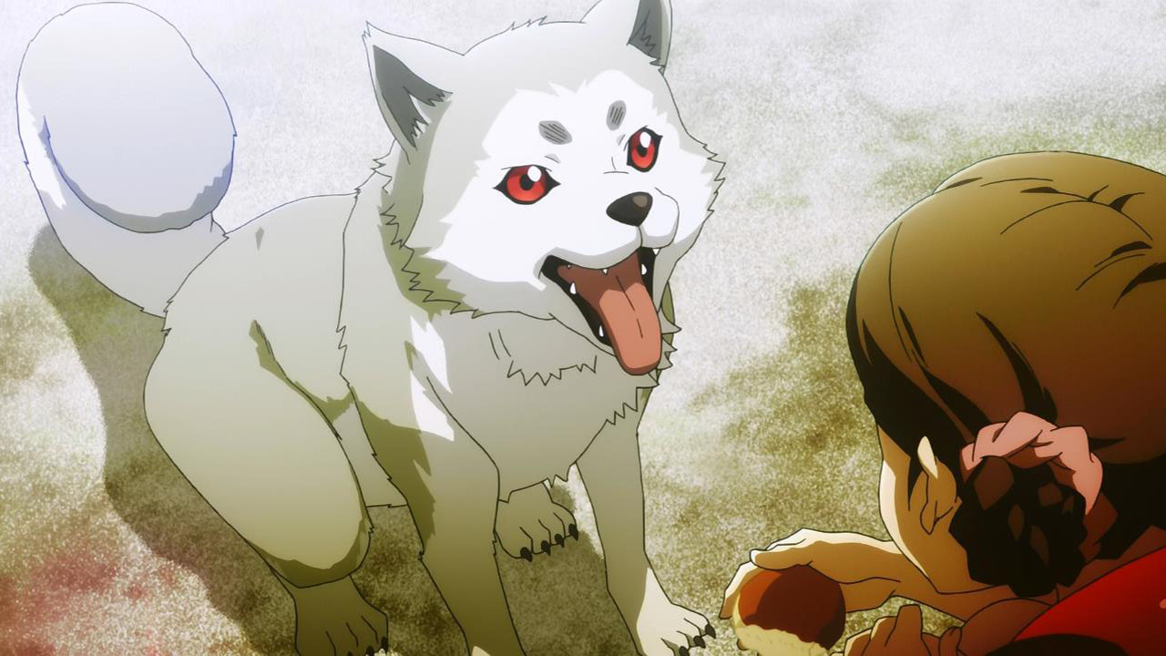 تويتر Kate على تويتر Persona 3 Part 2 Lmao Elizabeth Female Protagonist P3p Koromaru Mitsuru Kirijo Honorable Mention Bebe Temperance Social Link T Co desuv9kl