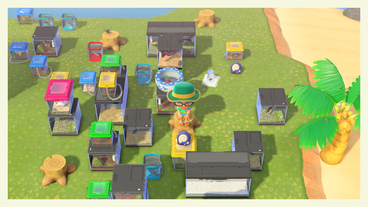 EUB2DGEUUAAN3XZ?format=jpg&name=large