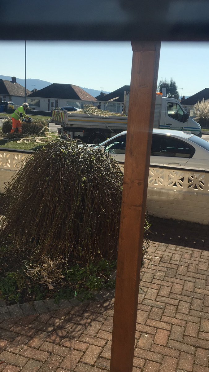 mouseyhughes's tweet photo. @DenbighshireCC  you have tweeted about the only reasons you should leave the house... Yet u have sent out your workers to cut down the pampers grass outside my home!!! https://t.co/6B11M7OI6V