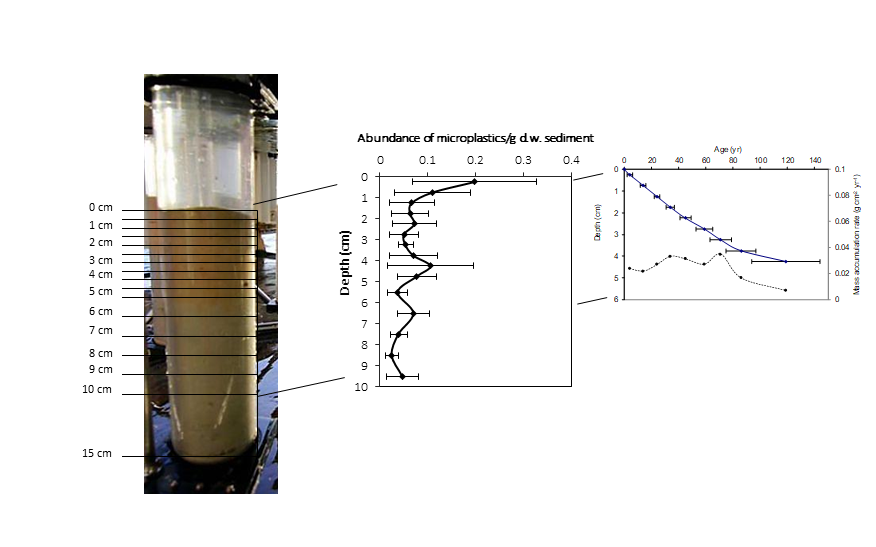 WinnieCJ's tweet photo. NEW STUDY: analyzing #microplastics in #deepsea sediment cores
https://t.co/iweqKMojEn

Microplastics distributed to depths dating before mass plastic production; abundance decreased but polymer diversity increased with depth/age. https://t.co/UCKBpf0nGB