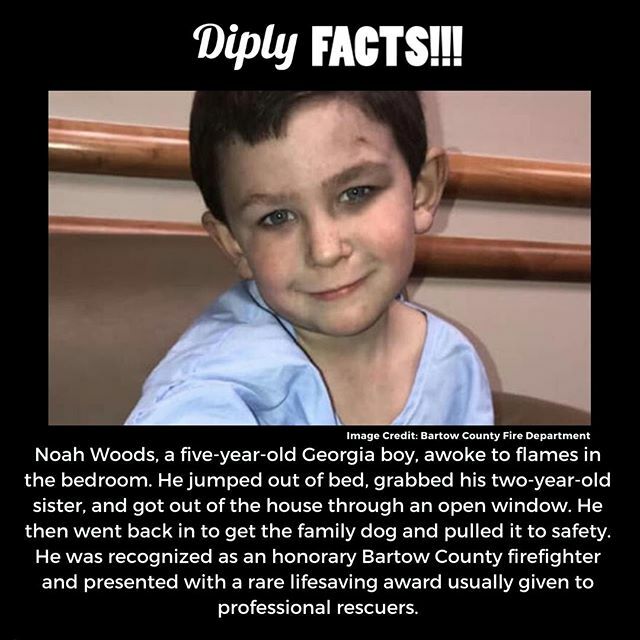 diplyfacts's tweet photo. https://t.co/reVTFOrB1A https://t.co/INDEmHvZV4