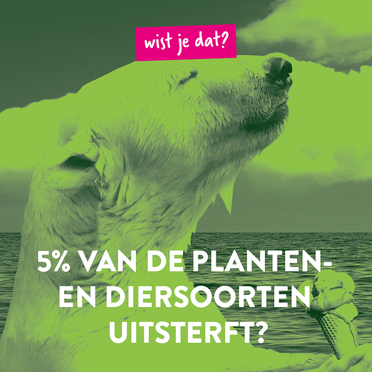 De afgelopen veertig jaar is mede door klimaatverandering het aantal dieren op de aardbol gehalveerd. Als de aarde 4 graden zou opwarmen verdwijnt 1 op de 4 diersoorten voorgoed.

#yesc #youngenergysocietychallenge #energietransitie #klimaatverandering #wistjedat #klimaatfeitjes