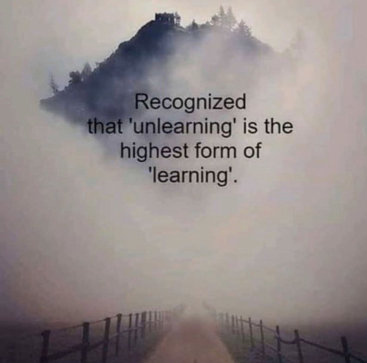 The breaking of patterning, habits, belief systems and social conditioning which no longer serves our healthiest self is by far the highest form of learning. #unlearning #learning #GrowthMindset #healthiest