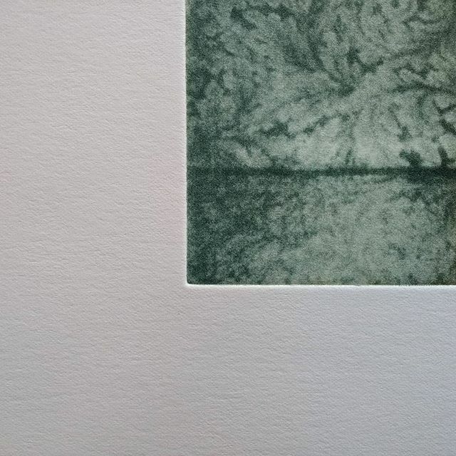 stephyshipley's tweet photo. I'm sad not to be installing my work @plasbodfa this week, but ready and waiting as #unusmultorum gently unfolds - time and its vagaries have long been part of my process and practice.
#allthatglitters #polaroid #emulsion #solarplate #heterotopia #oneis… https://t.co/1LjqdrP9bb https://t.co/lkxlrS8ygy