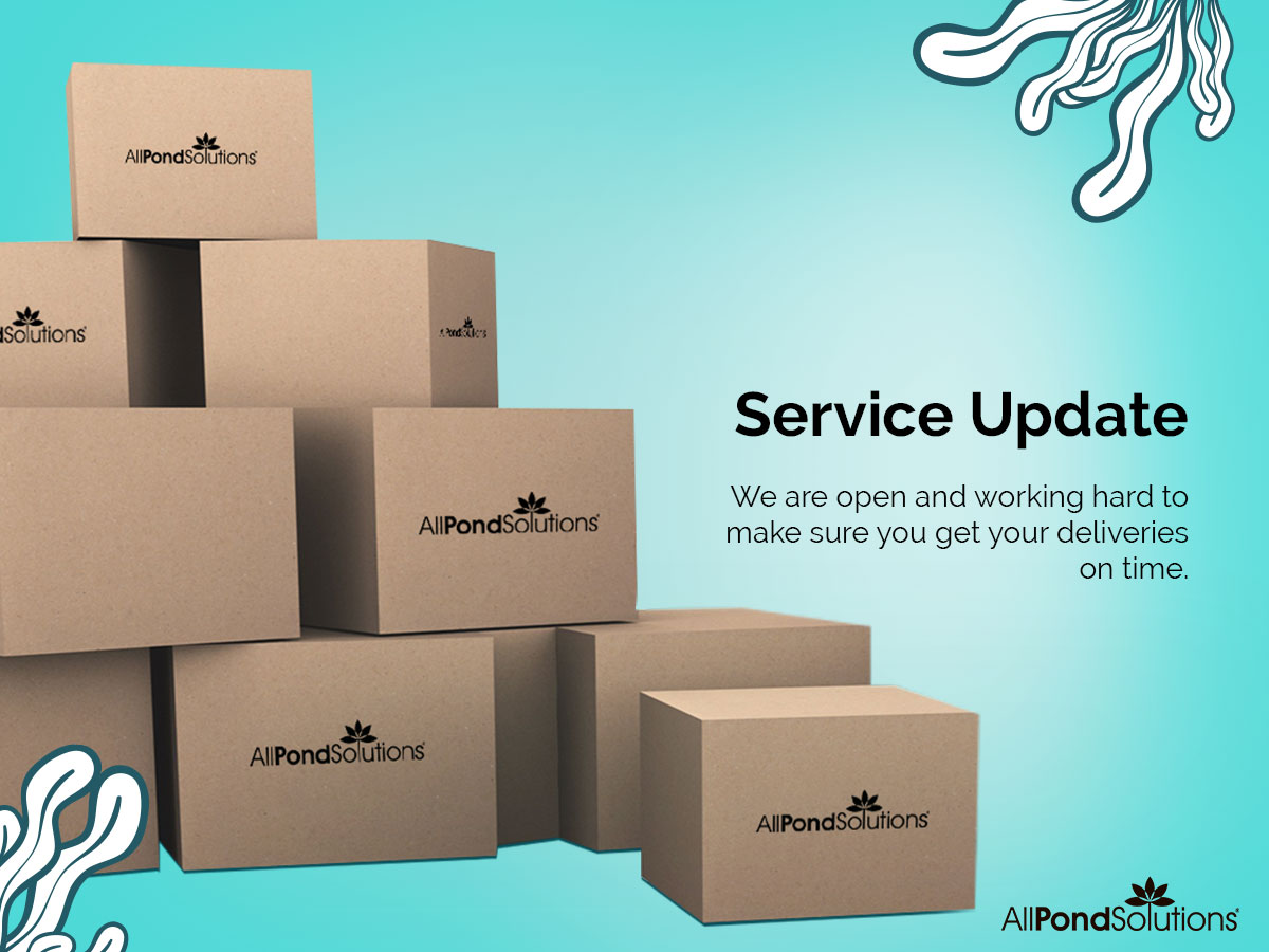 The entire All Pond Solutions team is doing everything they can, day and night, to ensure that you continue to get the high quality service you're used to, even in the current exceptional situation. 🐟Read more at: allpondsolutions.co.uk/service_update