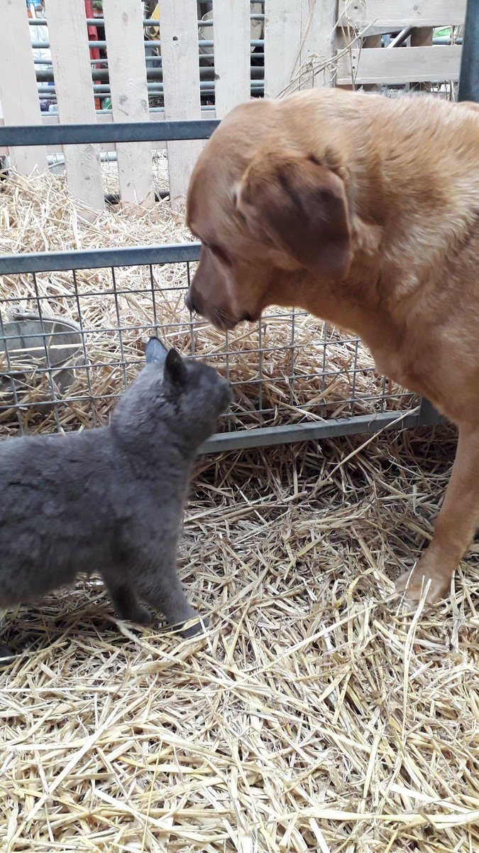 Country Frames Gallery (GalleryCountry) Twitter