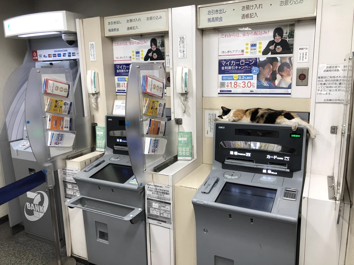 まさに招き猫？？銀行のATMに猫が普通に寝ているのだがwww