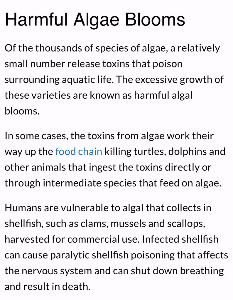 angel_ecube's tweet photo. Also, the change of color in manila bay is actually caused by algae blooming which occurs when there’s an increase of water temperature. This happens annually in Manila Bay since 1988 (see second photo) This is apparently bad bc it kills many aquatic animals including turtles 🥺 https://t.co/8wgJE681JD