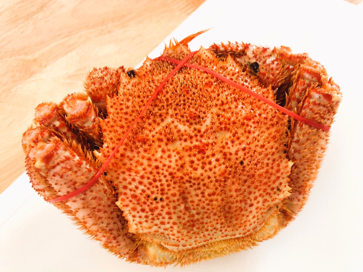 汚れる Twitter Search