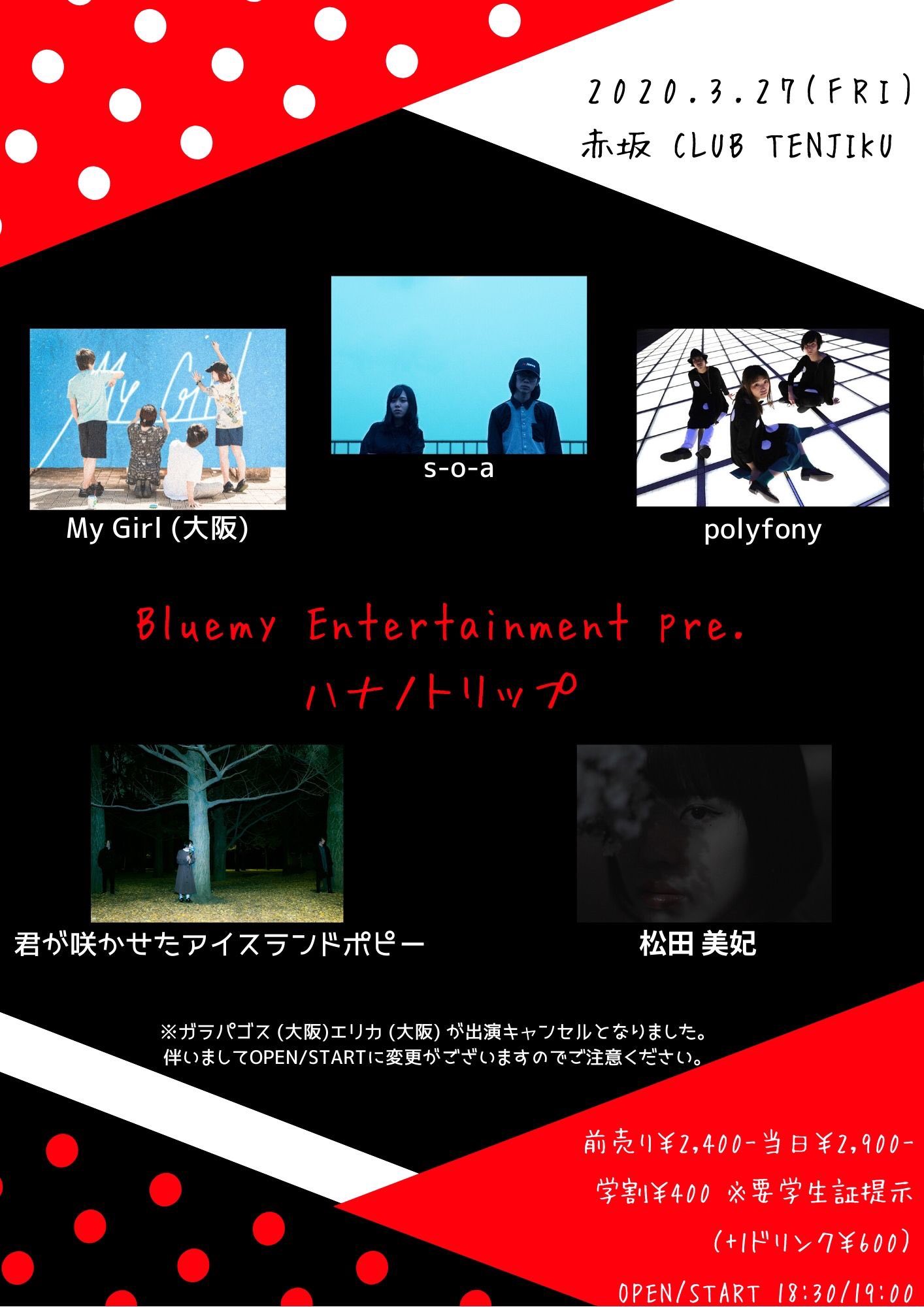 君が咲かせたアイスランドポピー Ksip Official Twitter