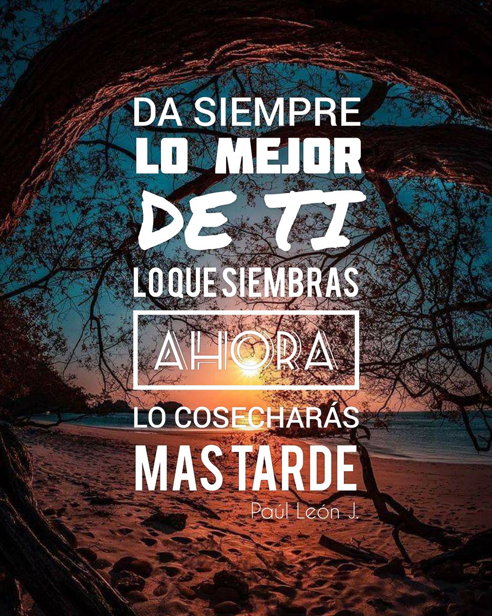 paulleonj's tweet photo. Siempre da lo mejor de ti  💪🏻 https://t.co/JJGYnBpqgQ