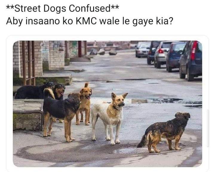 ZrRaheel's tweet photo. 🤣😂 https://t.co/kZVgtKDEeg