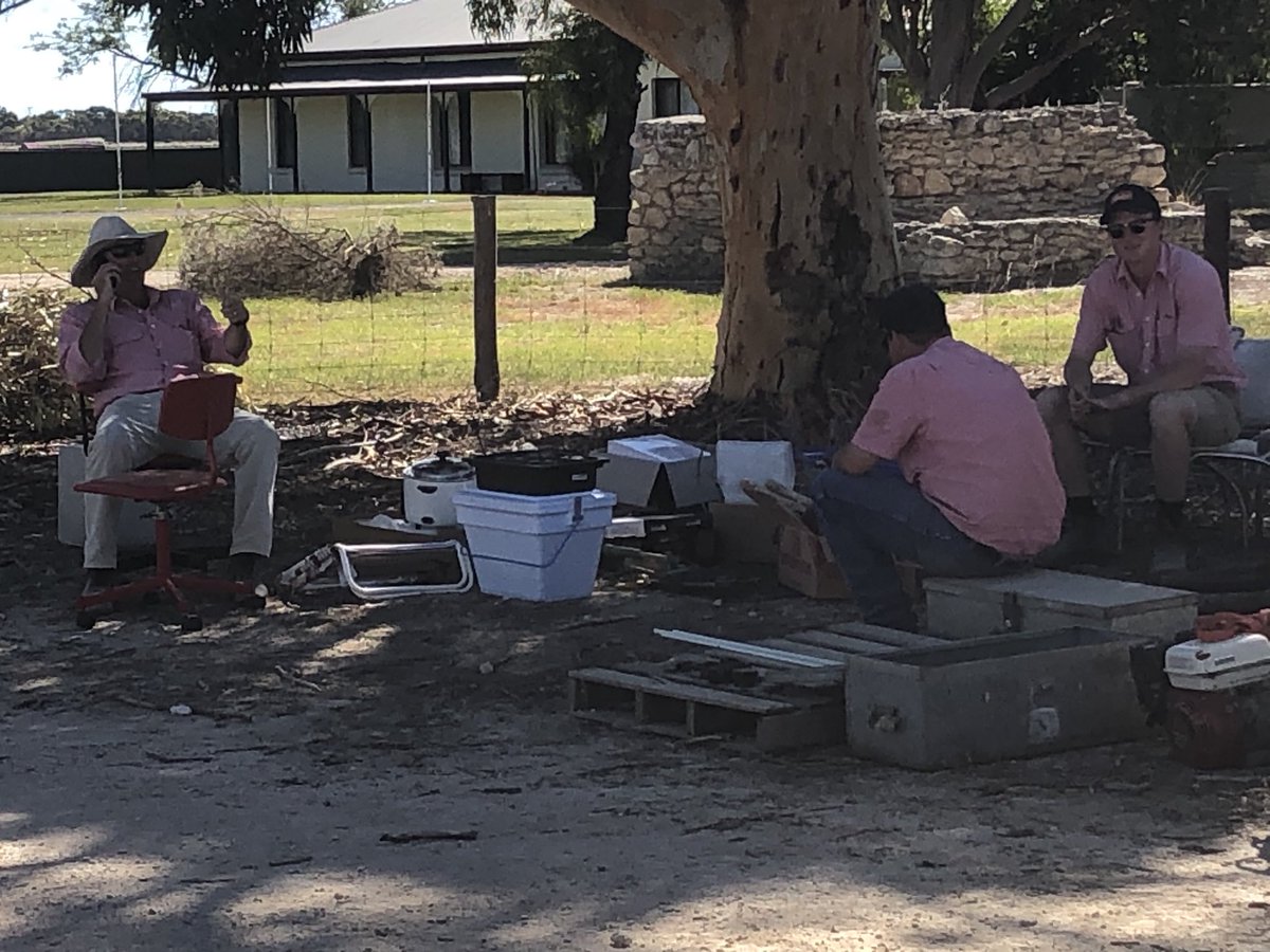 RaysonDaniel's tweet photo. Elders working hard again🙄 ⁦@steven_doecke⁩ https://t.co/YSBT8kLqtM