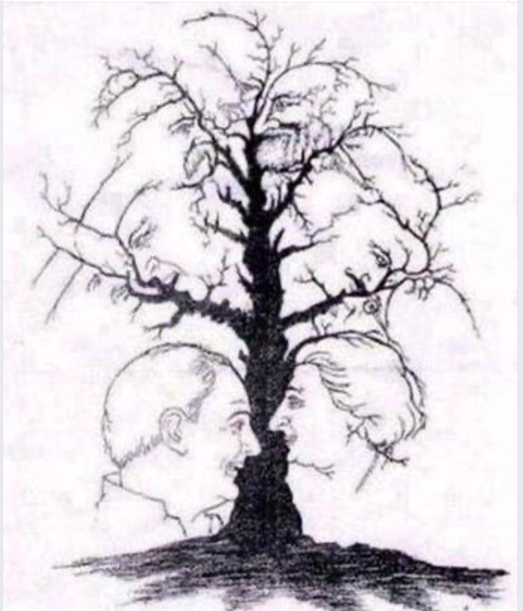 John B Tawn tweet media