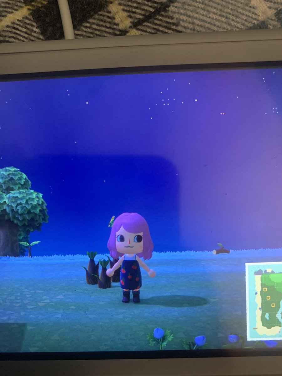 jevoirlefutur's tweet photo. Tried to go for that réalisation par look #AnimalCrossingDesigns #ACNH #ACNHDesign #realisationpar https://t.co/pgvcKRWicQ