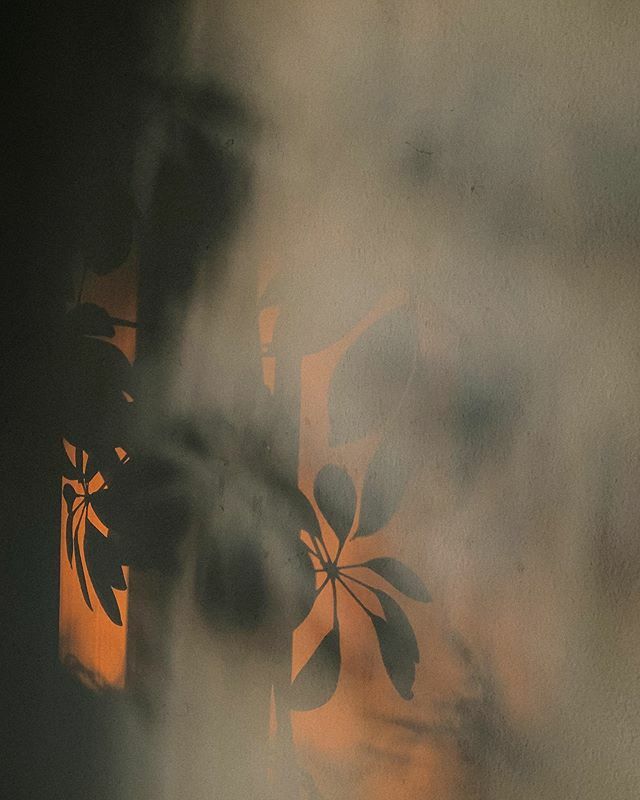 India Hobson tweet media