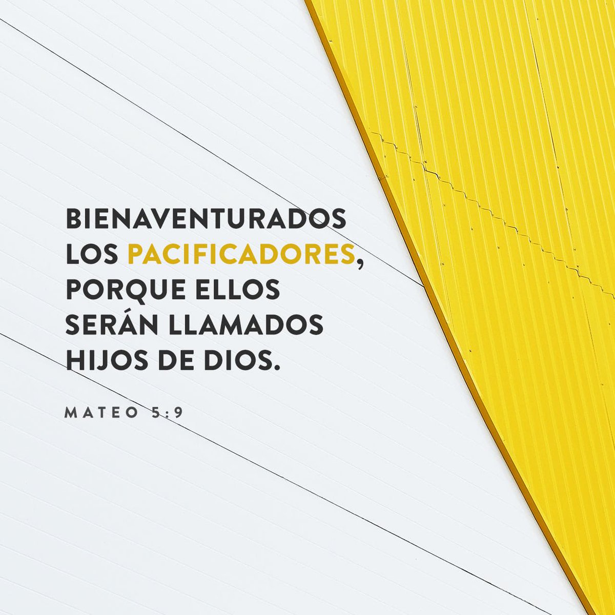 arbolessoficial's tweet photo. Señor Jesús oramos por esta Ciudad, padre usted devuelve el servicio eléctrico, Amén #apagon  #SinLuz Maracaibo https://t.co/Qjc4fs7mMA