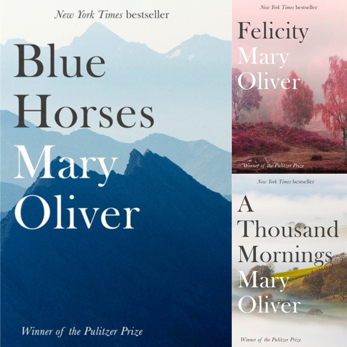 Mary Oliver's nature poetry, a balm for the soul. She also has a book of dedicated dog poems, and an essay collection if prose is more your thing.  https://twitter.com/ravenbooks/status/1241481859567149057