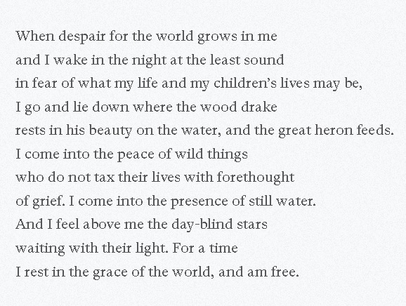 Wendell Berry's poetry, especially if he's reading it, his voice would calm wild horses. Listen to him here reading The Peace of Wild Things:  https://onbeing.org/poetry/the-peace-of-wild-things/When despair for the world grows in meand I wake in the night at the least soundin fear of what my life and...