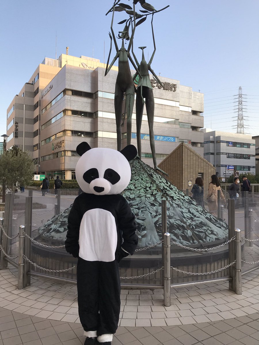 ロコっち新百合ヶ丘 カマキリの下にパンダさん ロコっち新百合ヶ丘 しんゆり かまきり カマキリ パンダ ダンススタジオ Jellyfish バックダンサー