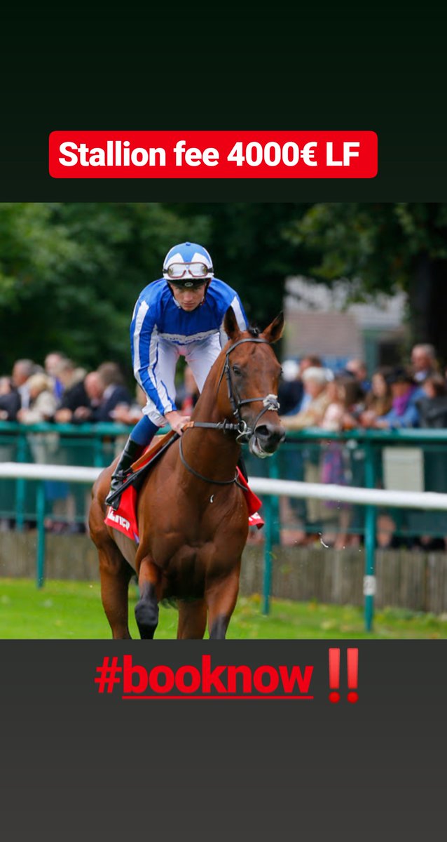 DonjuanTriumph2's tweet photo. 🆕 DONJUAN TRIUMPHANT waiting for you at @barbottiere
📱 Contact @huet60 or direct message
🏆 GR1 WINNER at @Ascot
#precocity #longevity #resistance
@Jour_de_Galop @francesire @Fedeeleveurs @OuestAqps https://t.co/JdYXZKk3g1