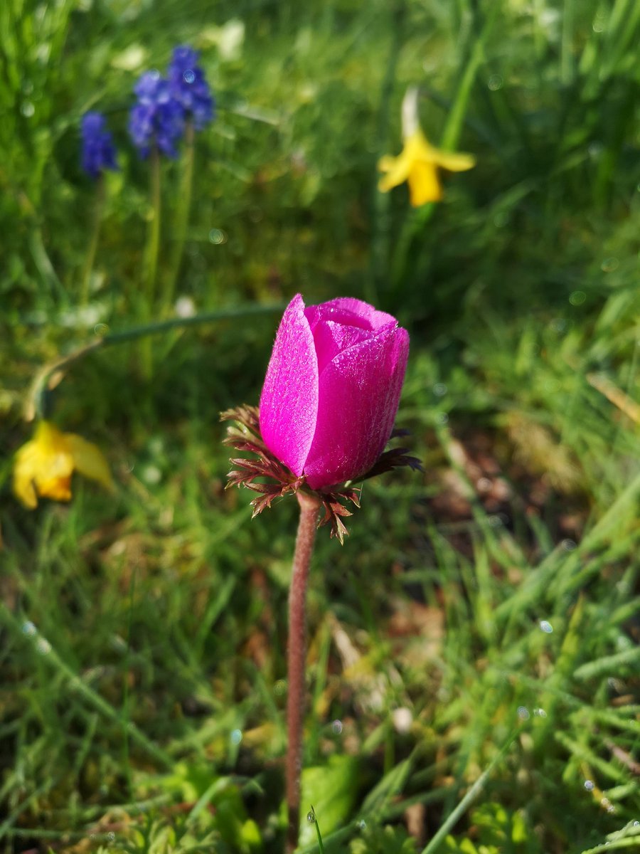 vauclusedreamer's tweet photo. @oregongirlworld @Angiev1n @CulturalWed @CaliGlobetrotr @ushasita @mumsgoneto @SLOgirlAbroad @redphoneboxblog @ZenBabytravel @krasf @anywhereweroam @OurWorldforYou @allisongtravels @four_acorns Thanks for checking in... Bright and chilly in Exeter today, time in the garden and decided to try a FB Live talk about some of my @vintagesilverwk jewellery this afternoon... π³ Am I mad?? #FarawayFiles https://t.co/9fatKuvUgD