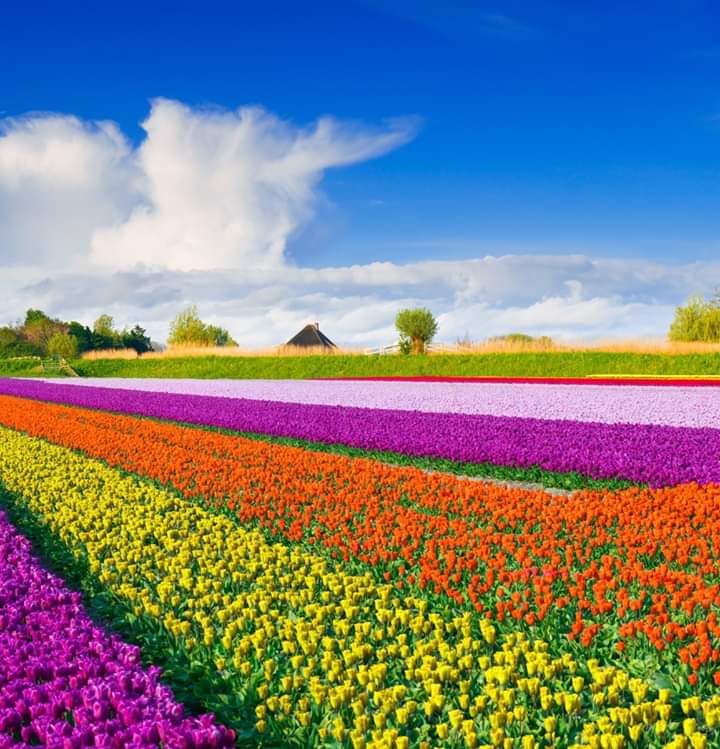Nice post 
#Abdulhaque 
#americanflower 
#nicetweet 
#myfirstTweet  
#abolishthemonarchy #amricanbeautyflower 
#2wishคิดถึงจัง 
#digitalmarketingtweet
#socialmidiamareking
#internet marketing 
#runabegum
#googlemarketing
#digitalart 
#flowerisbeauty
#imgforลั่น 
#alterpinoy