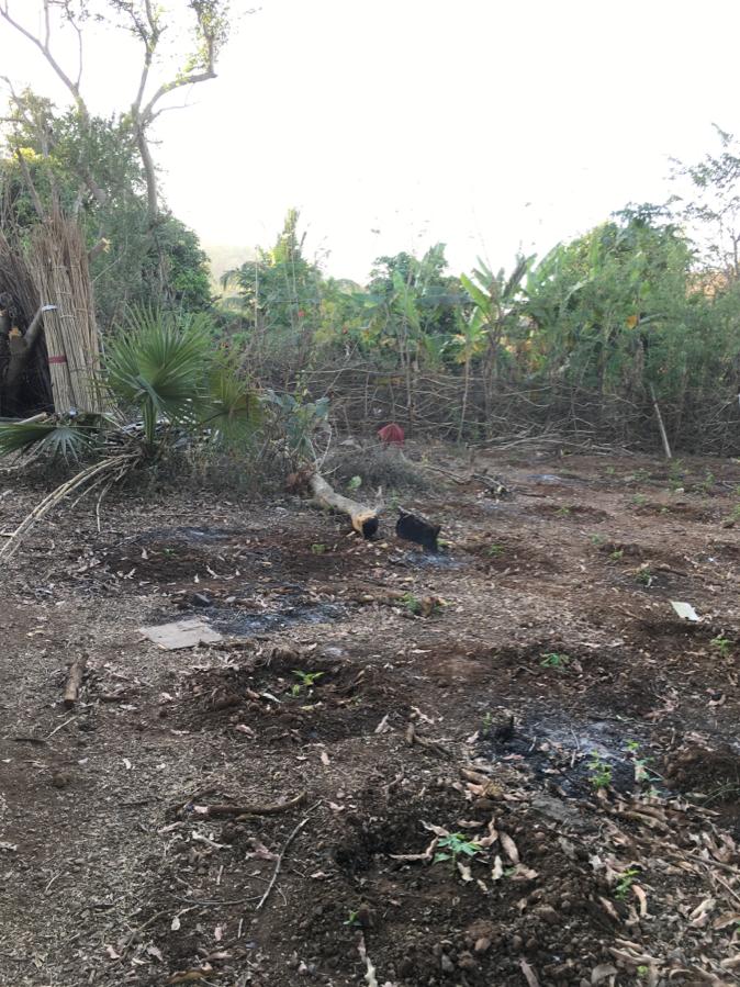ConserveAarey's tweet photo. @AUThackeray @OfficeofUT Please pay urgent attention the Sanjay Gandhi National Park. The park from the Aarey side from Bangoda pada is being decimated. (1/8) https://t.co/3FkjGGUwAZ
