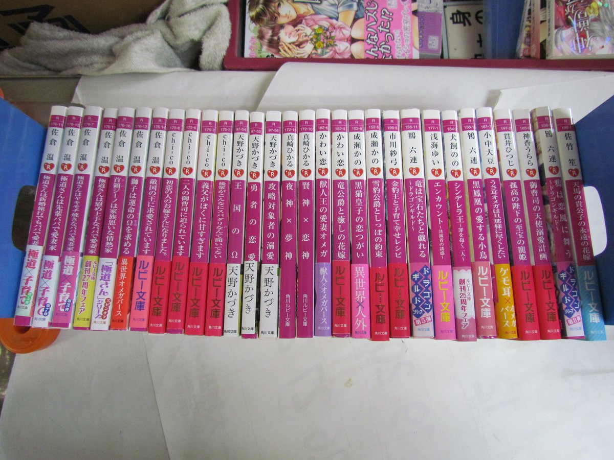 めぐみ書店 Bl ルビー文庫 小説 30冊 角川文庫 佐倉温 Chi Co 天野かづき 真崎ひかる かわい恋 成瀬かの 市川沙弓 浅海ゆい