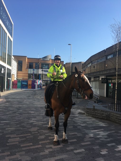 syptweet's tweet photo. This morning we'd like to say a special #ThankyouThursday to all of you who have stayed at home this week. The almost deserted streets and parks across #SouthYorkshire have been a welcome sight.

Help us protect our NHS. #StayAtHomeSavesLives 💙 https://t.co/vrsmE2EcD7