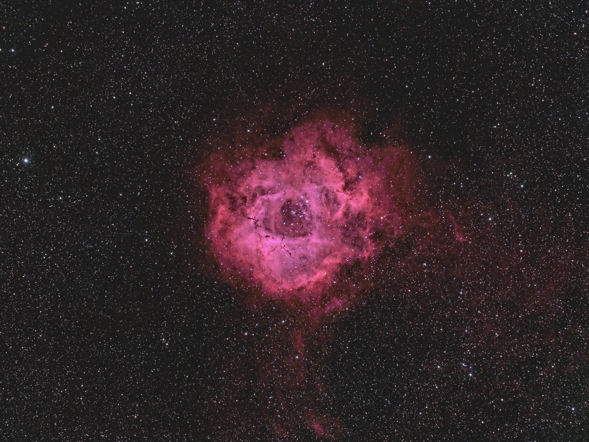 Optolong Astronomy Filter On Twitter The Rosette Nebula By Astrodoc Ron Astrodocron Takahashi Fsq 106 Ed Iv F 3 6 Qhyccd 367c One Shot Colour Camera And Optolong Filter L Enhance Narrowband Paramount Mx Unguided 12x10m With Optolong L Enhance