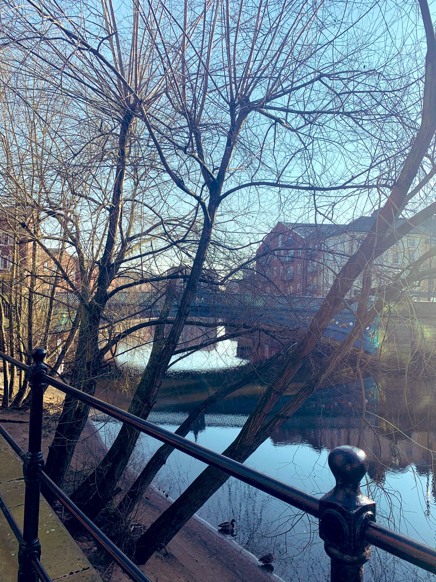 Miss Emrullahu tweet media