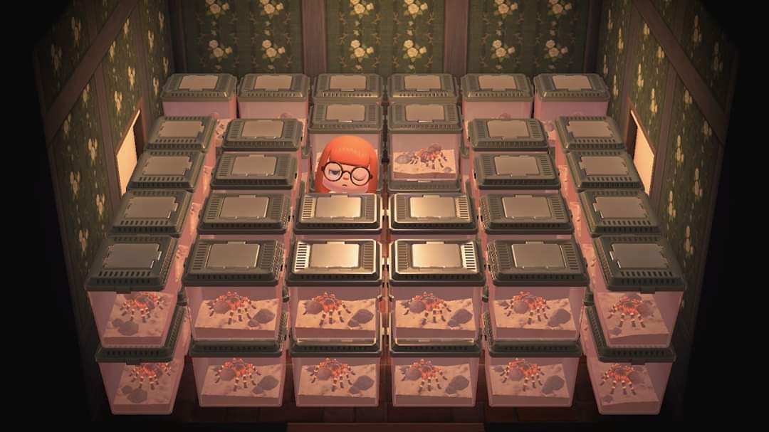 Everyone is sharing aesthetic pics of their #acnh house ♡ Here is mine! Ignore the wasp sting pls https://t.co/GwRAD0BtAP