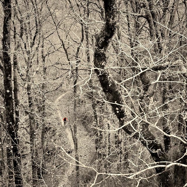doug_basquemtb's tweet photo. Lockdown look back #2. Riding on the Basque Coast in winter. #basquemtb https://t.co/2LgnEcVXM6 https://t.co/EUyYBI4qe1