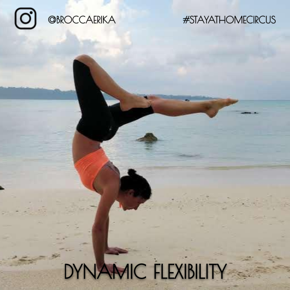 DublinCircus's tweet photo. #StayAtHomeCircus with #DublinCircusProject
Online DYNAMIC FLEXIBILITY Classes with Erika Brocca on Saturdays or Mondays
Find out More: https://t.co/5UJ4nNQb02
Cost:
€ 7 Drop-in / € 20 for 4 classes
#Circus @ISACSIreland #Ireland #Covid19 #flexibility #stayathomechallenge https://t.co/QKDkrdFOhZ