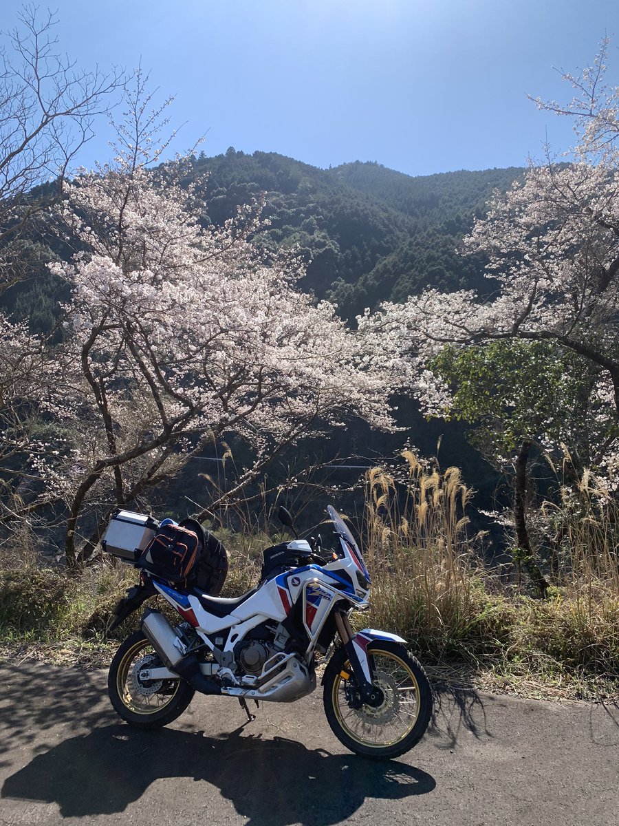 ゴメス伊藤 無事に帰宅できました 初めての大型だけどアフリカツインは燃費が良くて経済的なバイクだと思いました みんなも買おう アフリカツイン ツーリング