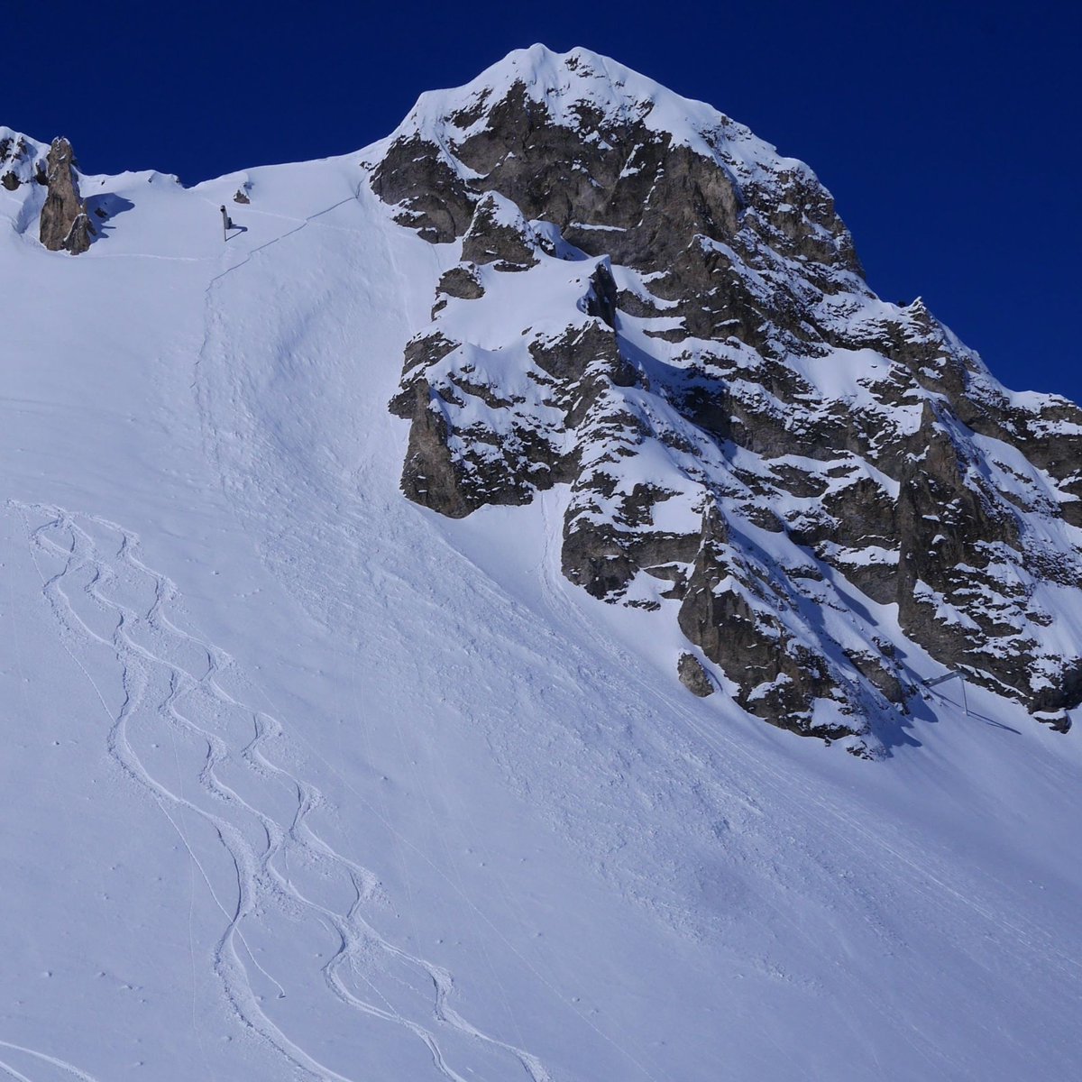 AlpineActionski's tweet photo. Make your mark
Lay your track
Have fun
Ski Safe

#winter #snow #skiing https://t.co/p42UAJR0JB
