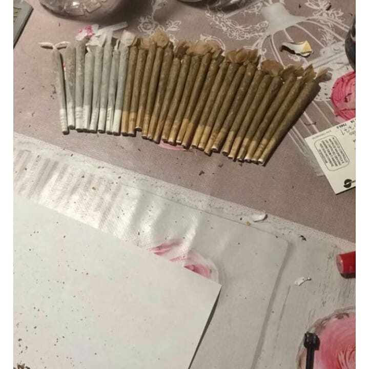 JacksonPlug1's tweet image. Télégram // Kingweedfr
 📲wickr / kingweedfrr
📲whatsapp uniquement +33 6 44 69 69 52
 #weed #joint #beuh #thc #marijuanastocks #CannabisCommunity #franceverte #France #smoke #Musica #Tourisme #villes #cartel #france420 #SmokeSeason #CoronavirusFrance