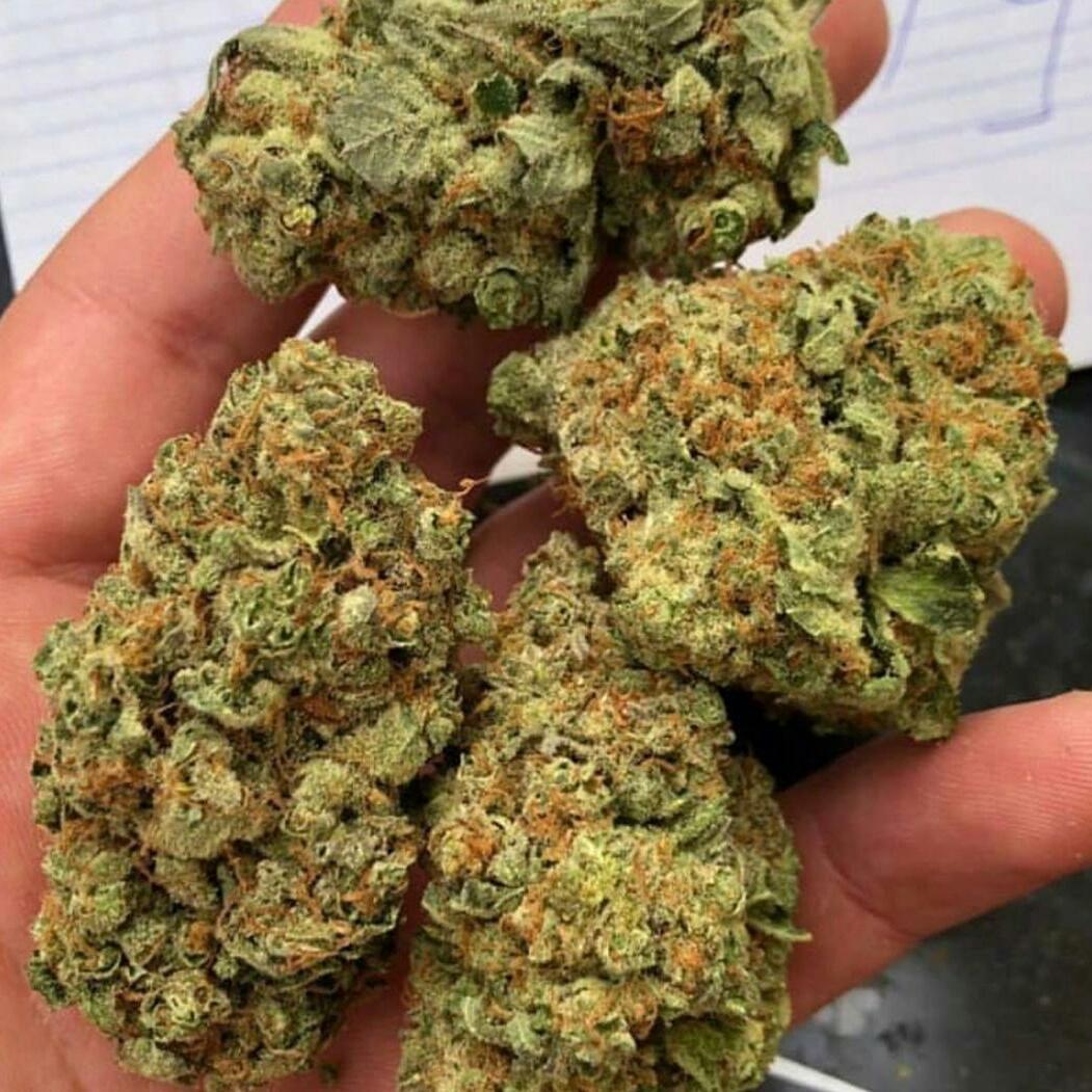 JacksonPlug1's tweet image. Télégram // Kingweedfr
 📲wickr / kingweedfrr
📲whatsapp uniquement +33 6 44 69 69 52
 #weed #joint #beuh #thc #marijuanastocks #CannabisCommunity #franceverte #France #smoke #Musica #Tourisme #villes #cartel #france420 #SmokeSeason #CoronavirusFrance