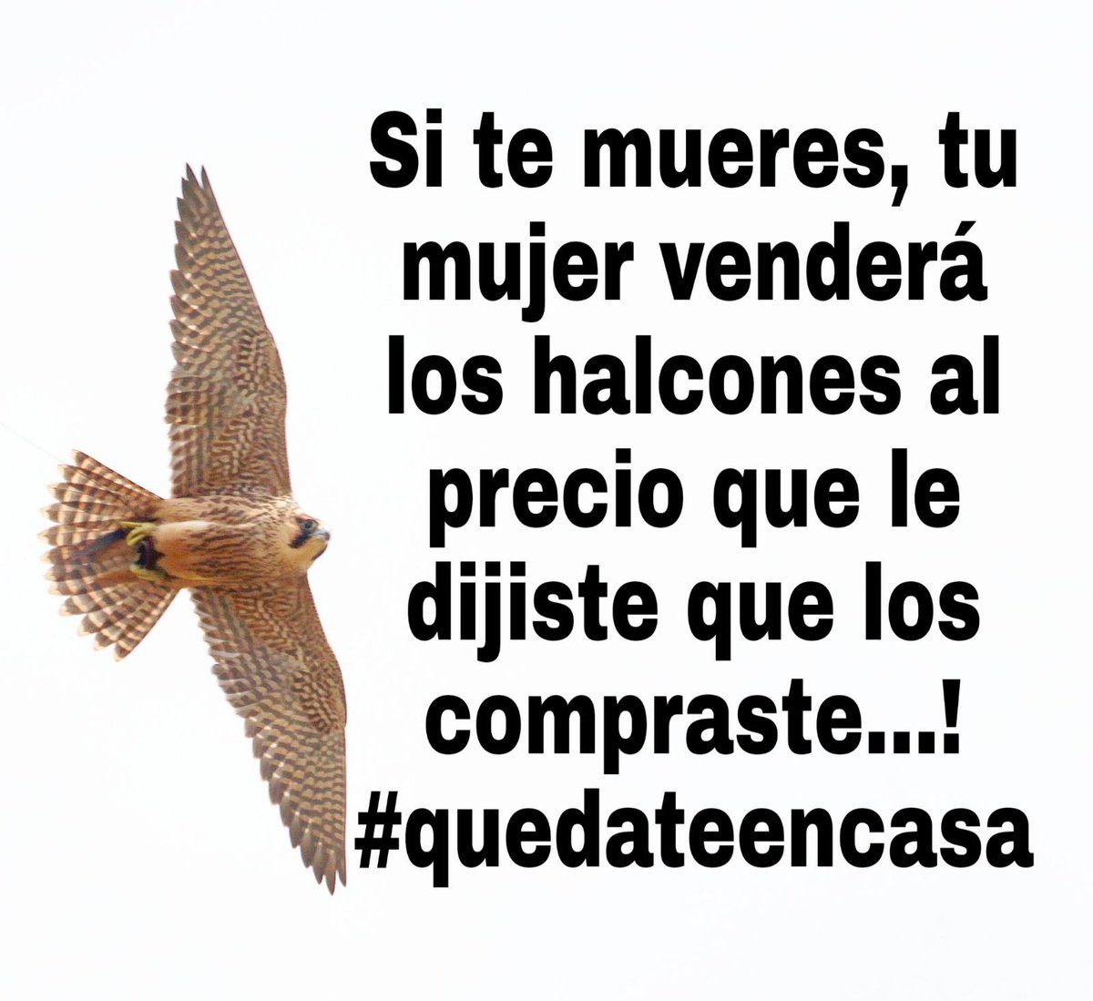 Así que.....quédate en casa!!!
#QuedateEnCasa
#FelizJueves