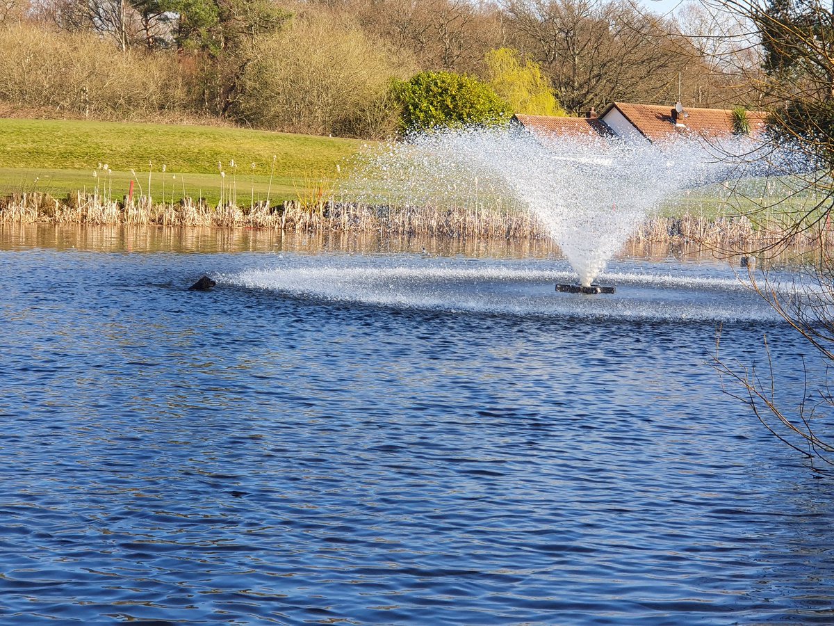 RyanAngear's tweet image. 100+ acres to explore, but this is certainly his favourite spot!!